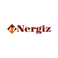 Nergiz oyun içi görünüm